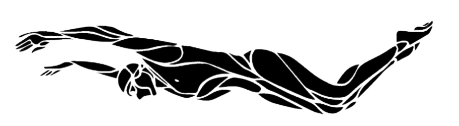 Butterfly Illustration
