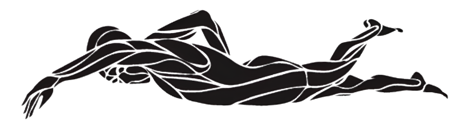 Freestyle (Front Crawl) Illustration